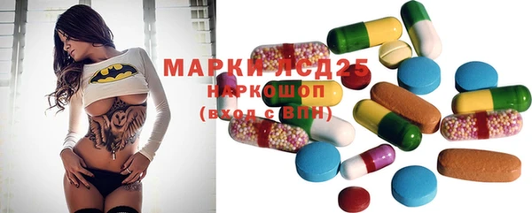 ПСИЛОЦИБИНОВЫЕ ГРИБЫ Алексин