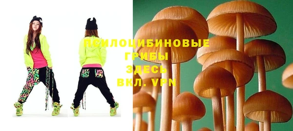 дмт Россошь