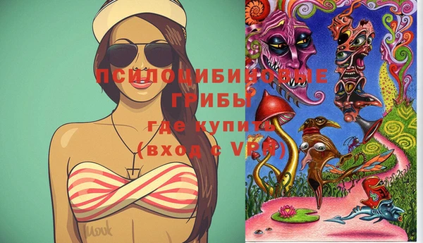 ПСИЛОЦИБИНОВЫЕ ГРИБЫ Алексин
